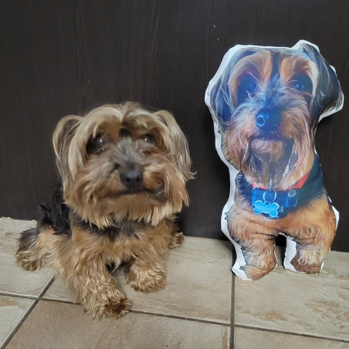 Coussin-Toutou - Ton meilleur ami - manoushkacreation