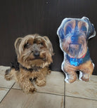 Coussin-Toutou - Ton meilleur ami - manoushkacreation