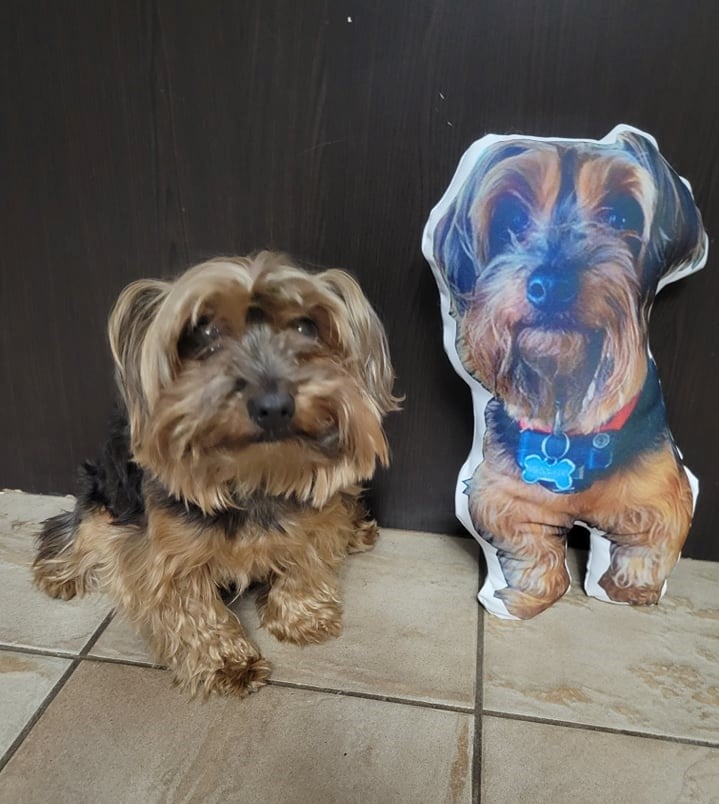 Coussin-Toutou - Ton meilleur ami - manoushkacreation